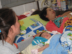 Ảnh bìa bài viết 316334