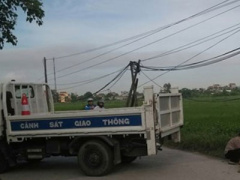 Ảnh bìa bài viết 316240