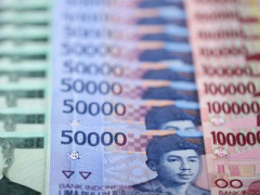 Ảnh bìa bài viết 316482