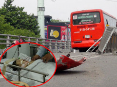 Ảnh bìa bài viết 316665