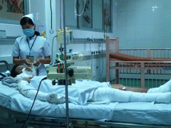 Ảnh bìa bài viết 316686