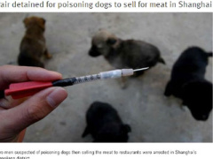 Ảnh bìa bài viết 316630