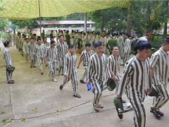 Ảnh bìa bài viết 316592