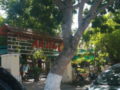 Ảnh bìa bài viết 316529
