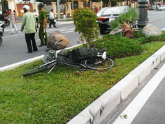 Ảnh bìa bài viết 316864