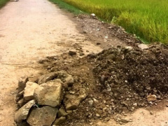 Ảnh bìa bài viết 316905