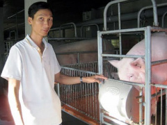 Ảnh bìa bài viết 316879