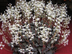 Ảnh bìa bài viết 316946