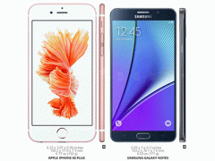 Ảnh bìa bài viết 317096