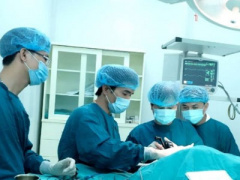 Ảnh bìa bài viết 317116