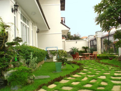 Ảnh bìa bài viết 317101