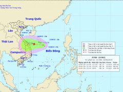 Ảnh bìa bài viết 317250