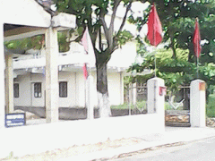 Ảnh bìa bài viết 317262