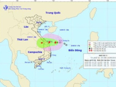 Ảnh bìa bài viết 317273