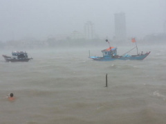 Ảnh bìa bài viết 317389