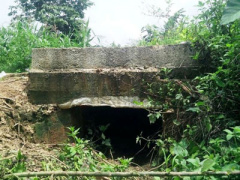 Ảnh bìa bài viết 317270