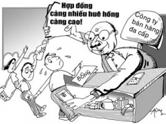 Ảnh bìa bài viết 317618