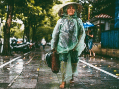 Ảnh bìa bài viết 317651