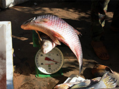Ảnh bìa bài viết 317726