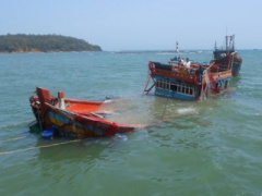 Ảnh bìa bài viết 317819