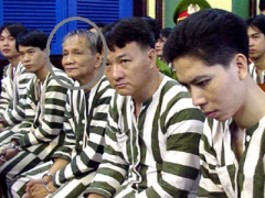 Ảnh bìa bài viết 317697