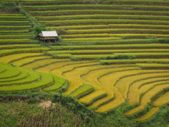 Ảnh bìa bài viết 318261