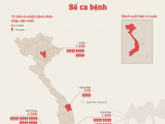 Ảnh bìa bài viết 318357