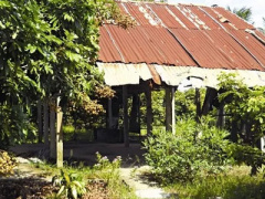 Ảnh bìa bài viết 318383