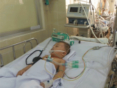 Ảnh bìa bài viết 318622
