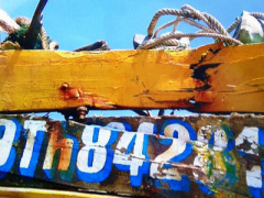 Ảnh bìa bài viết 318797
