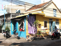 Ảnh bìa bài viết 318721