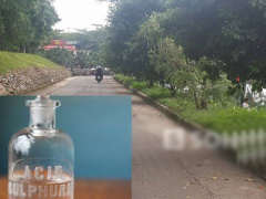 Ảnh bìa bài viết 318886