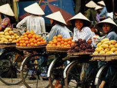 Ảnh bìa bài viết 319077