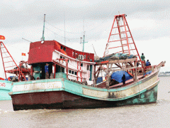 Ảnh bìa bài viết 319201