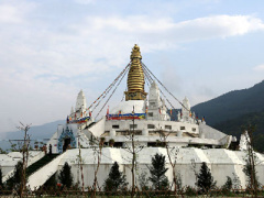 Ảnh bìa bài viết 319299