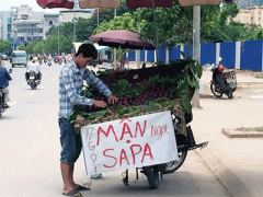 Ảnh bìa bài viết 319495