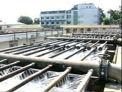 Ảnh bìa bài viết 319548