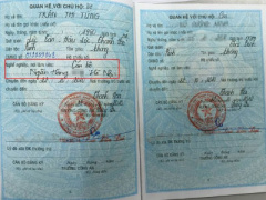 Ảnh bìa bài viết 319535