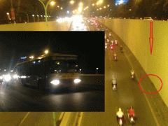 Ảnh bìa bài viết 319754
