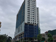 Ảnh bìa bài viết 319764