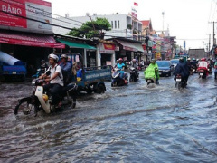 Ảnh bìa bài viết 320029