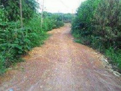 Ảnh bìa bài viết 320293