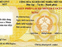 Ảnh bìa bài viết 320204