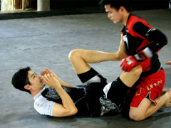 Ảnh bìa bài viết 320461