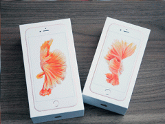 Ảnh bìa bài viết 320421