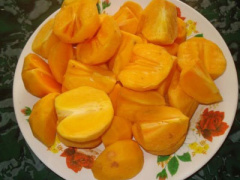 Ảnh bìa bài viết 320610