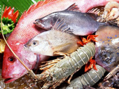 Ảnh bìa bài viết 320753