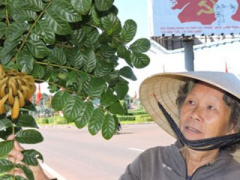 Ảnh bìa bài viết 320851