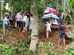 Ảnh bìa bài viết 320966