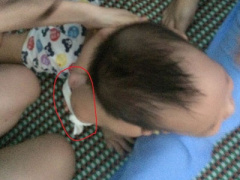 Ảnh bìa bài viết 321128